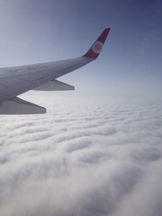 64388