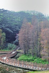 6362774B-60B6-4424-A531-E3B8A4972D62/L0/001
