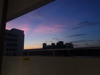 1260166
