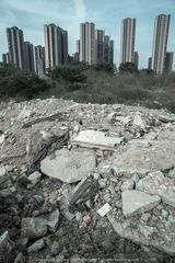YAO_3803 copy.jpg
