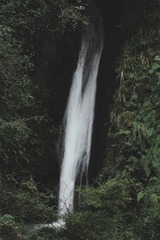 706393