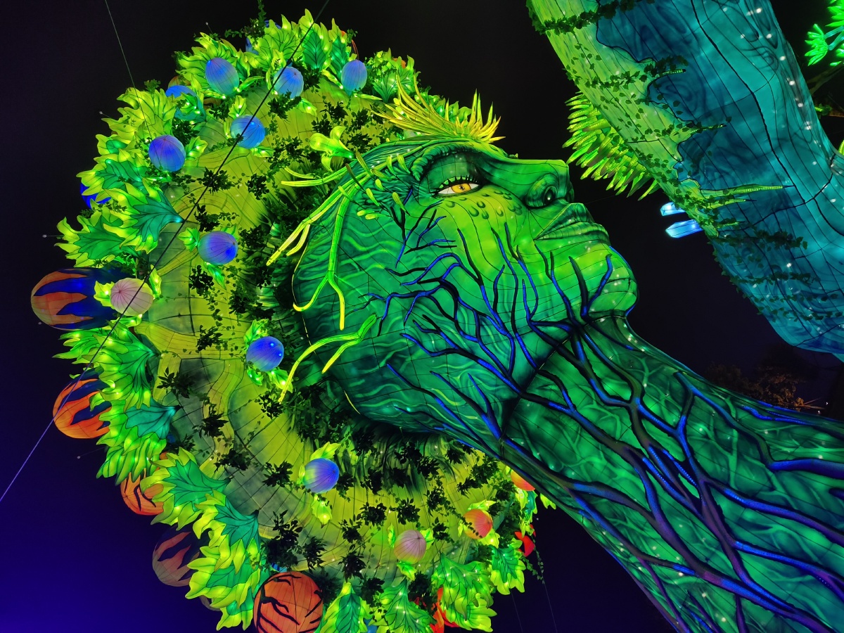 自贡网红生命之树