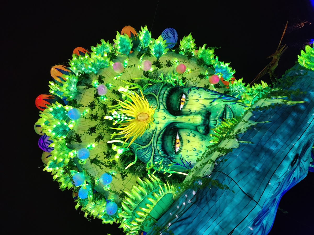 自贡网红生命之树