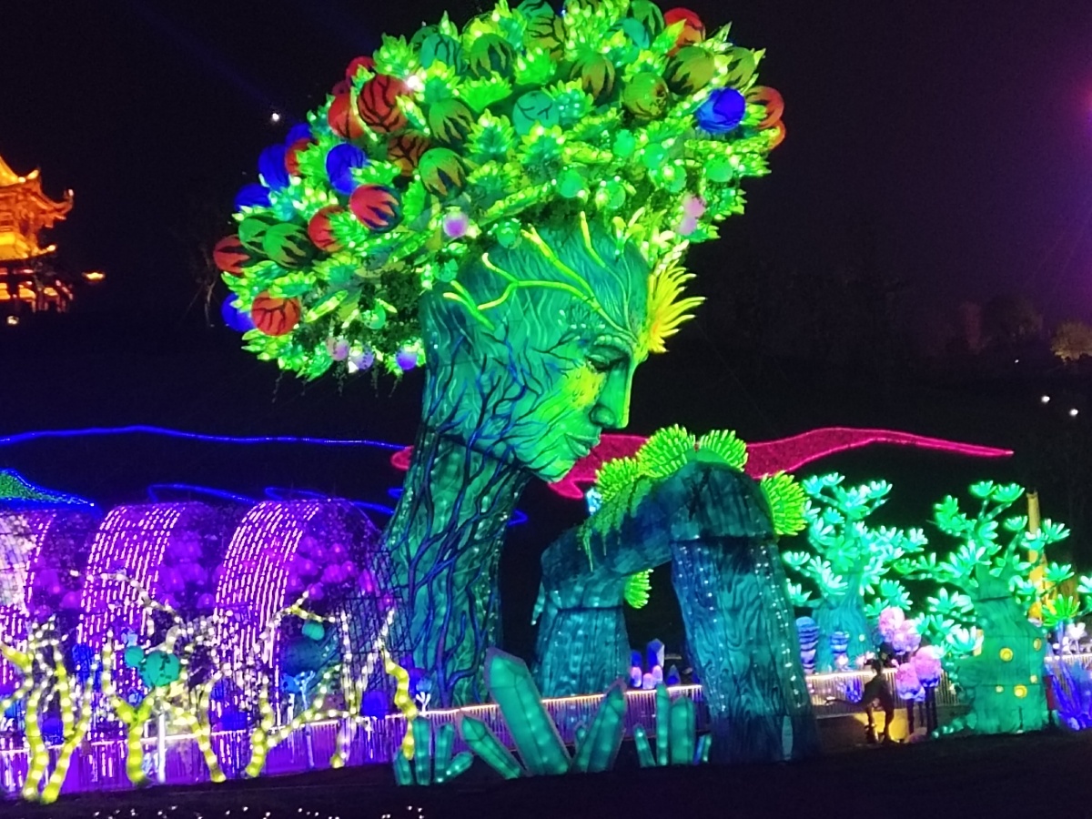 自贡网红生命之树