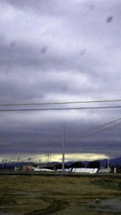 SDC14719