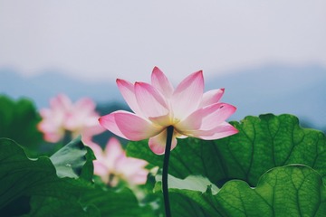 F97D1481-B4F1-42AD-B8A3-33ED94CA03D9/L0/001