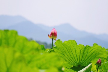 99AA4A93-283F-4A11-9A9A-1A9A9F3CE850/L0/001