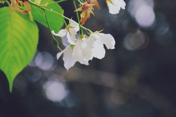 7B1434EE-768C-4204-9AB3-E4AFF555BB03/L0/001