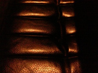 IMG00537.jpg