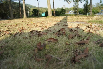 DSC05493.JPG