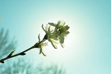 “_DSC0998”为智能对象-1.jpg