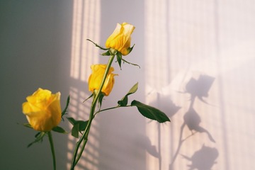 D49B0F29-219C-43F0-9D1D-0985EEABEE2D/L0/001