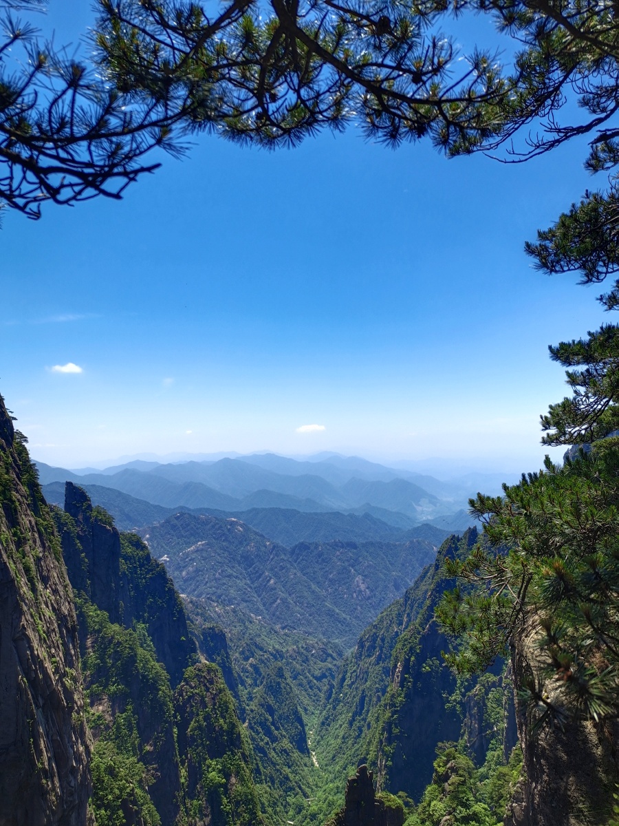 黄山归来已经很多天了但那秀丽的风景犹如一幅幅美丽的图画仍时刻浮现