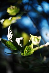 8F42C0F7-DA78-4BCA-906F-41F5F519722F/L0/001