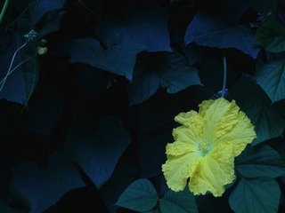 87F16C59-A218-48AE-801A-B857A8DFD724/L0/001