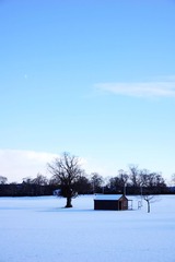 DSC00164'.jpg