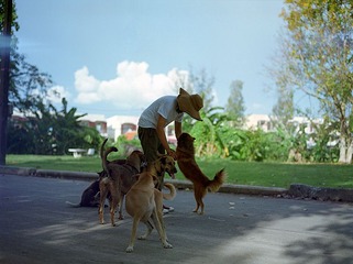 FUJI PN160NS 1.jpg