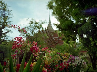 FUJI PN160NS 8.jpg
