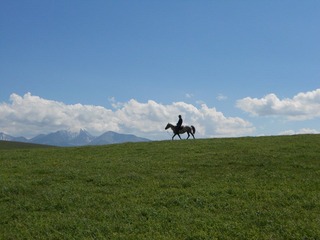 DSCN0339.JPG