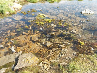 DSCN0424.JPG
