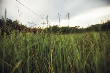 _MG_2738-编辑.jpg