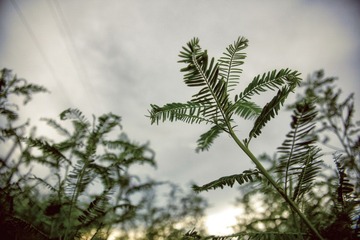 _MG_2769-编辑.jpg