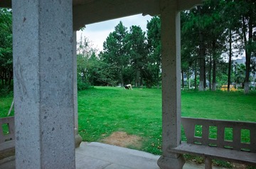 R0013155