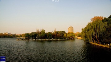 DSC08150.jpg