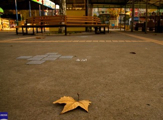 DSC08169.jpg