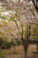 DSC01786.jpg