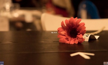 DSC08572.jpg
