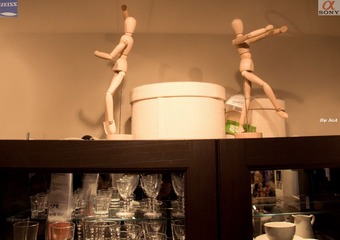 DSC08556.jpg