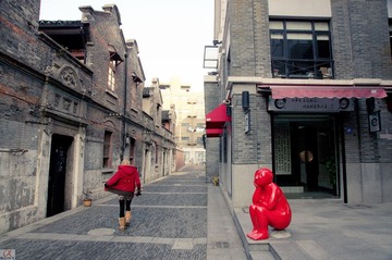 DSC08992.jpg