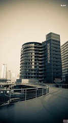 DSC09031.jpg