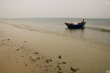 DSC09210.jpg