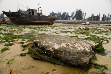DSC09240.jpg