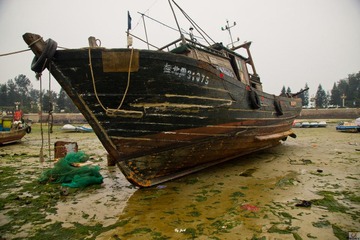 DSC09241.jpg