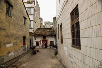 DSC09267.jpg