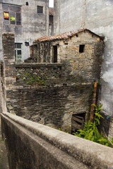 DSC09276.jpg