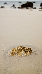 DSC09328.jpg