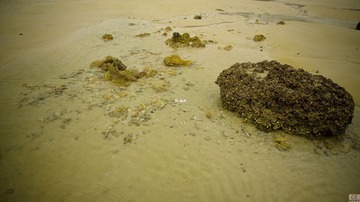 DSC09331.jpg