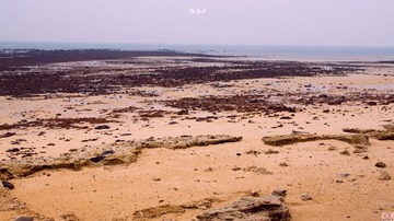DSC09377.jpg