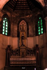 DSC09391.jpg