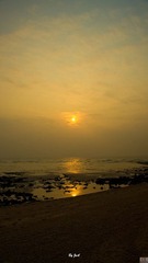 DSC09444.jpg