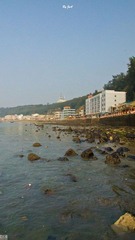 DSC09494.jpg