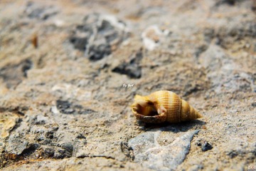DSC09507.jpg