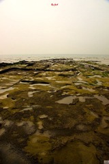 DSC09671.jpg