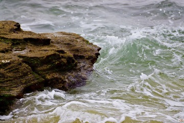 DSC09688.jpg
