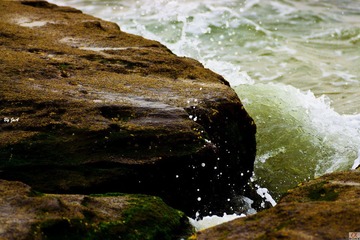 DSC09710.jpg