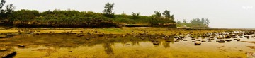 DSC09725.jpg